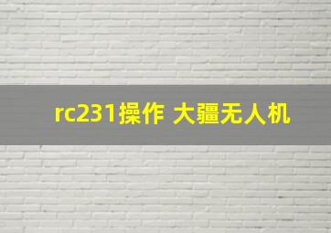 rc231操作 大疆无人机